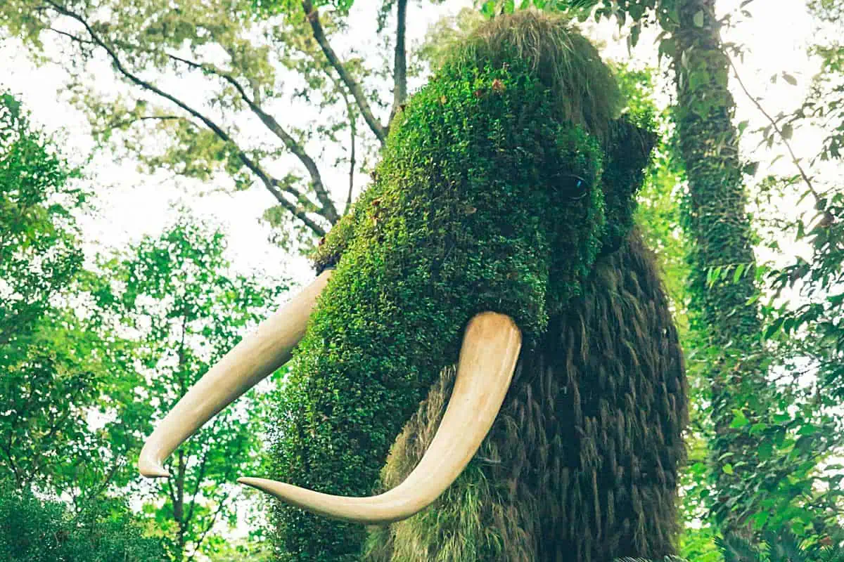 Green mammoth