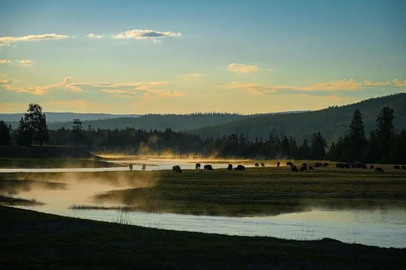 Yellowstone rivers