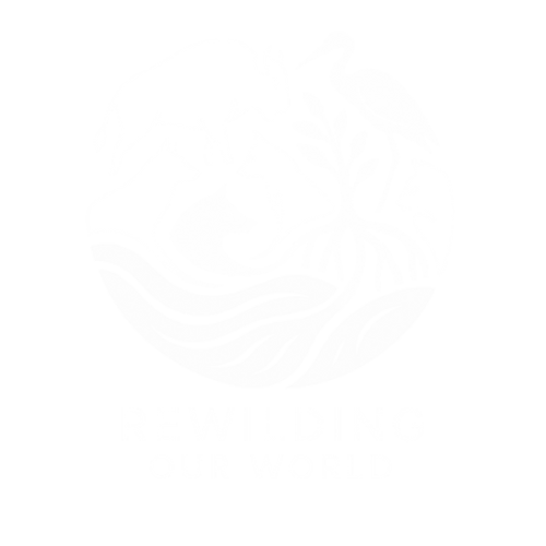 Rewilding our World