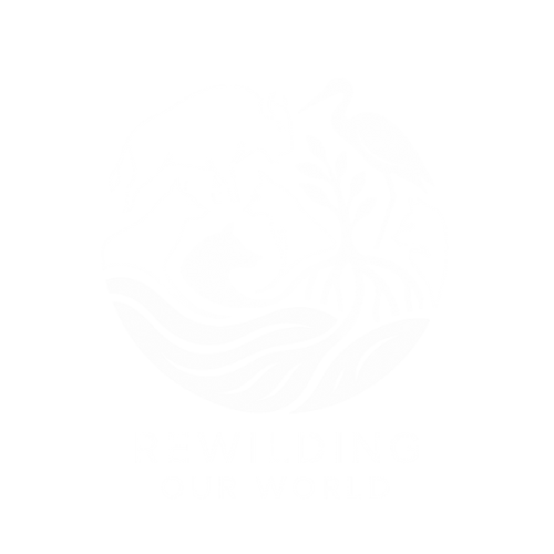 Rewilding our World