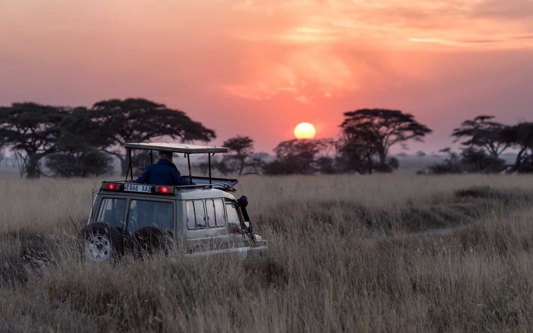 Protected areas valorisation
