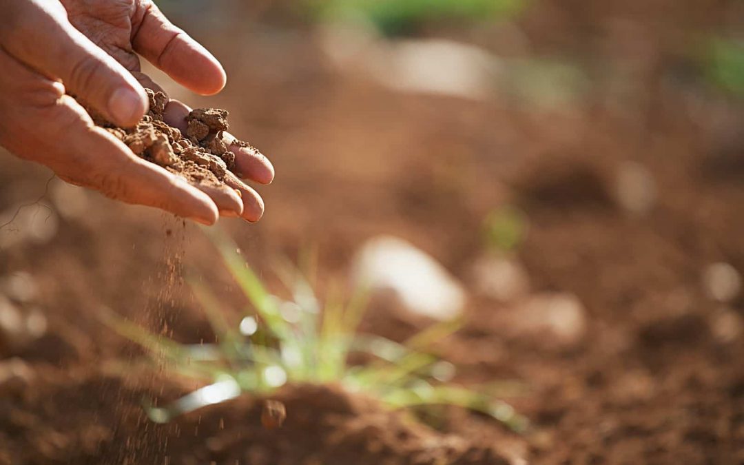 Soil4Life: Sustainable Soil Management