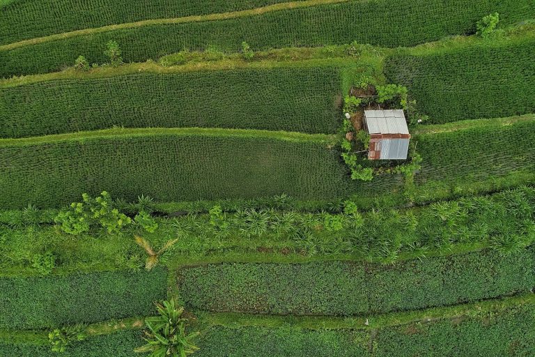 Sustainable food systems course