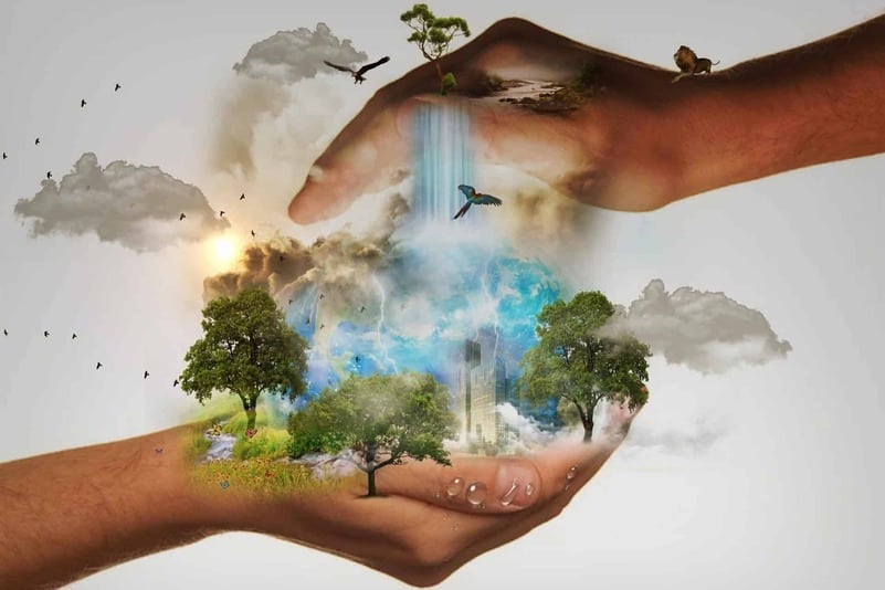 Hands holding nature: trees, birds, water, earth, representing education of the future generations to create sustainability leadership.