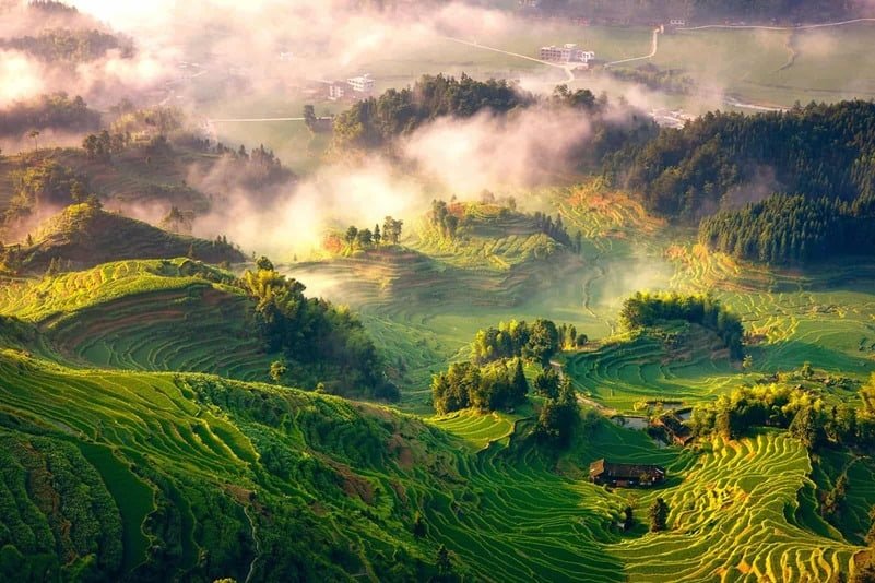National greenhouse gas inventory for land use