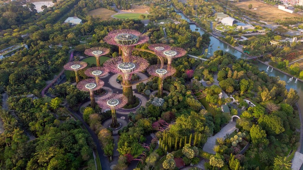 Gardens by the bay aerial picture representing the biodiverse landscapes of rewilding our cities.