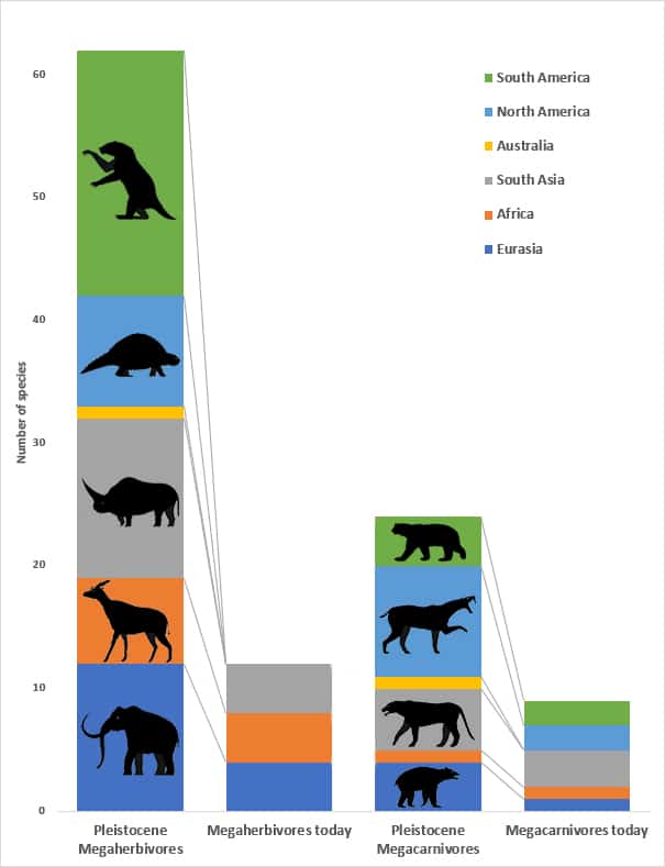 pleistocene megafauna