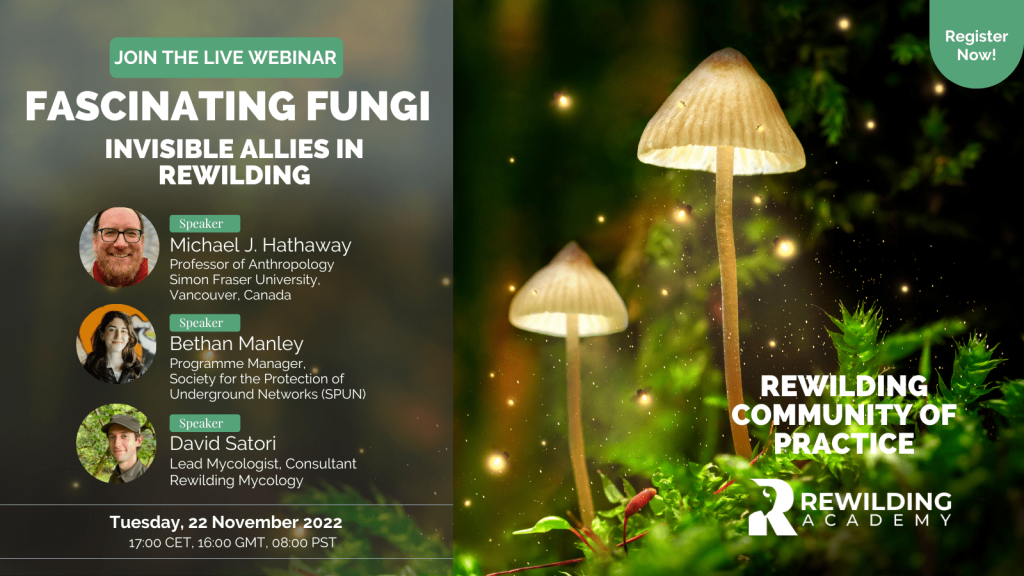Image of a fungi ejecting spores representing a flyer for the fascinating fungi event introducing the speakers with their profile images.