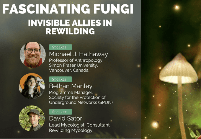 Cover image listing all experts that presented at the Fascinating Fungi event about rewilding and fungi. 