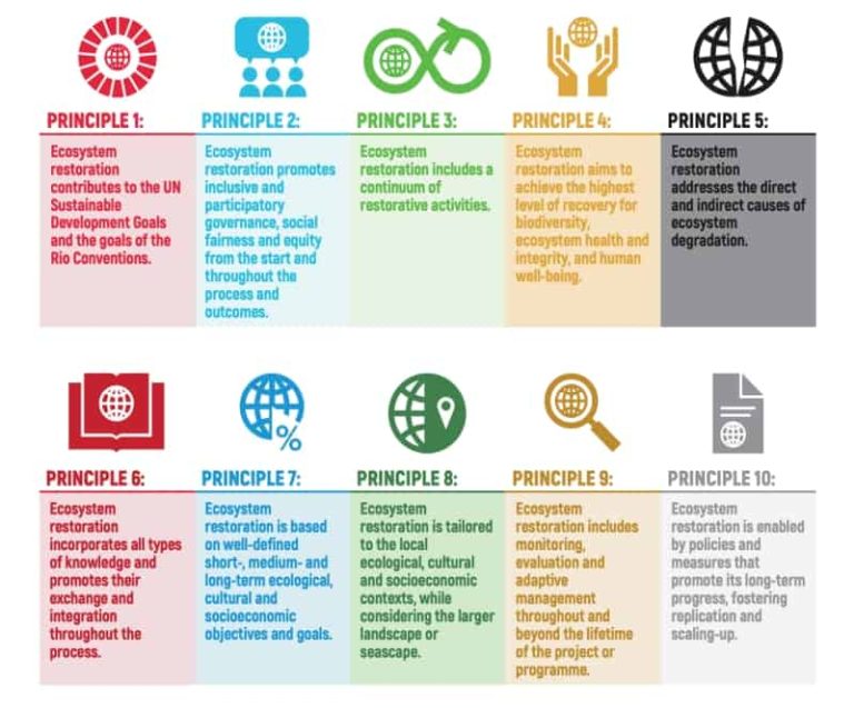 Restoring our world: Standards of practice to guide ecosystem ...