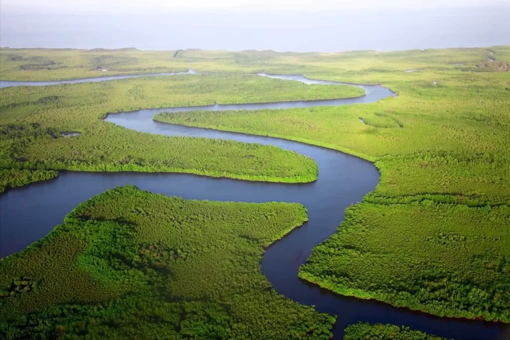 Wetland landscape with rivers