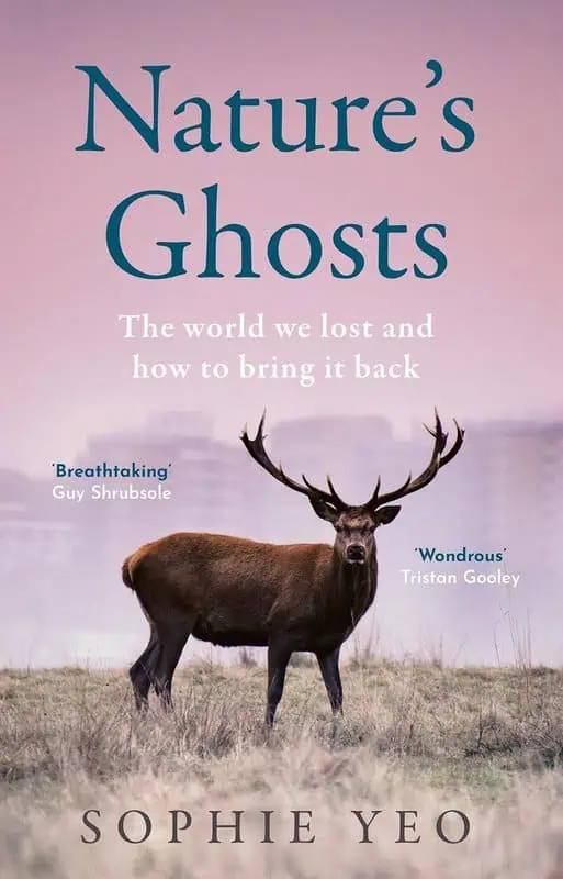 Nature's Ghost book cover