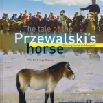 Tale of the Przewalski's Horse: Coming Home to Mongolia