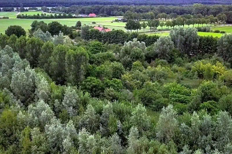 Food Forests Advanced Masterclass course with Wouter van Eck