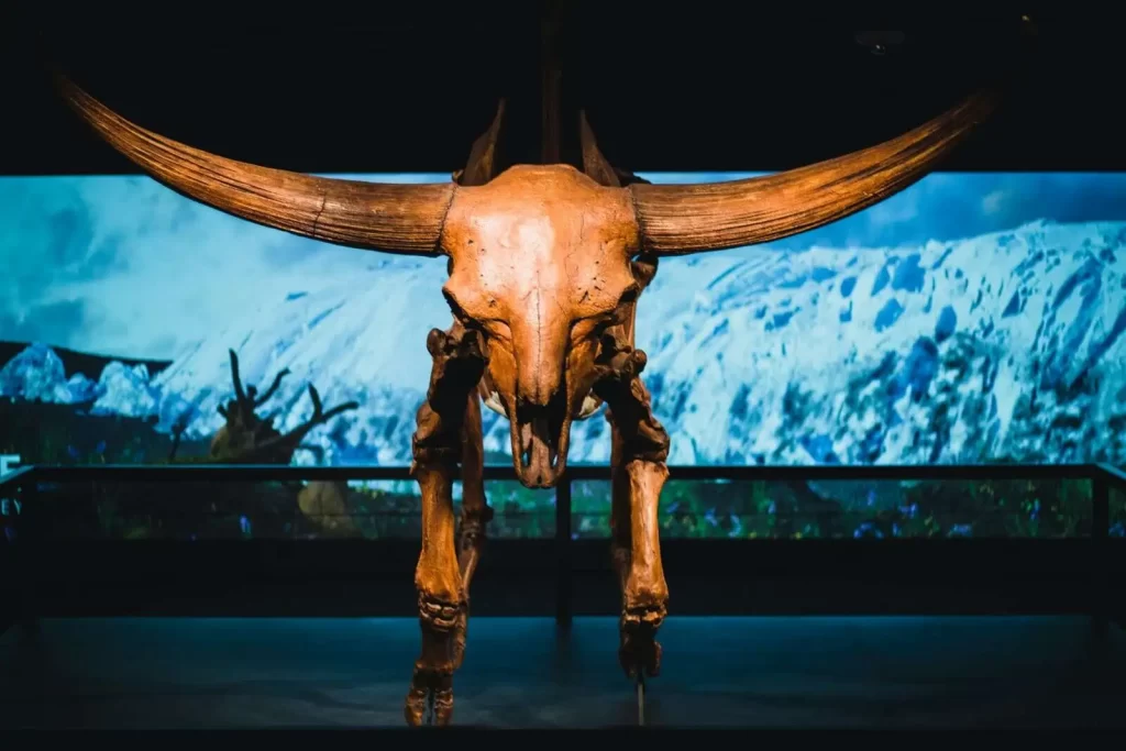 aurochs megafauna