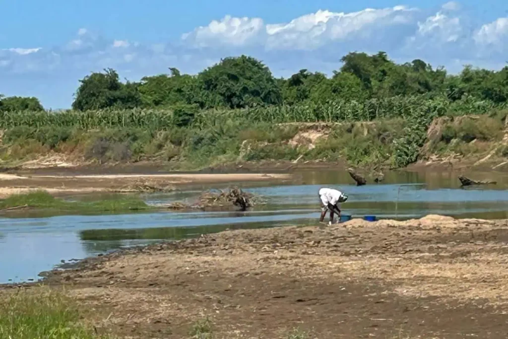 Mbire landscape restoration