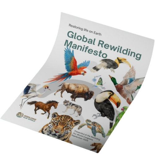 Global Rewilding Manifesto Cover