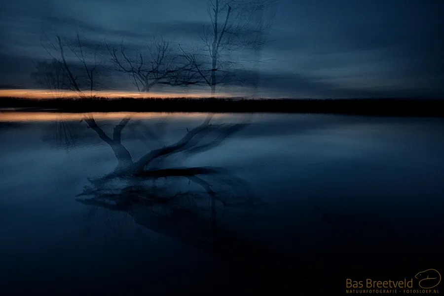 Biesbosch National Park, The Netherlands (Photo: Bas Breetveld)