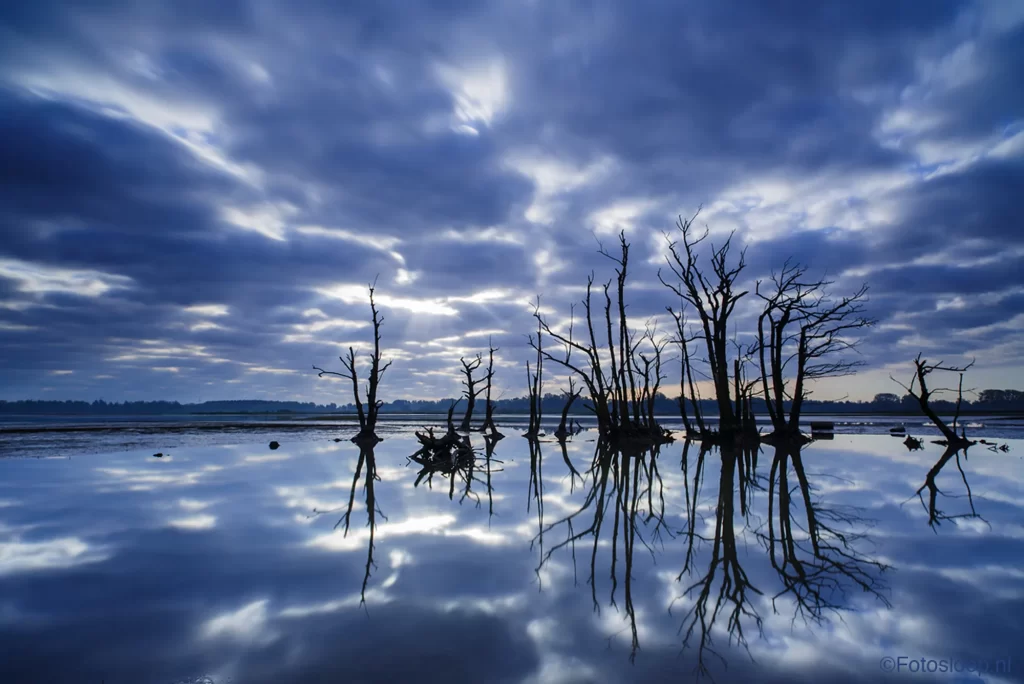 Biesbosch National Park, The Netherlands (Photo: Bas Breetveld)
