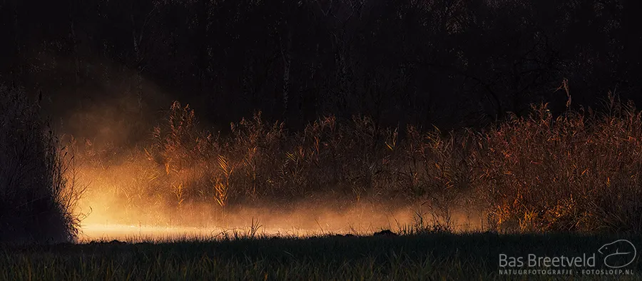 Biesbosch at sunrise (Bas Breetveld)