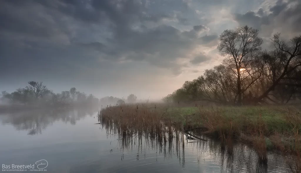 Early morning in the Biesbosch National Park, The Netherlands (Photo: Bas Breetveld)

