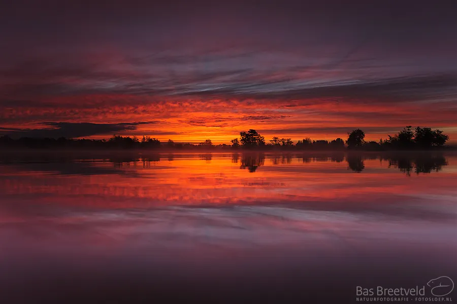 Sunset at Biesbosch National Park (Bas Breetveld)