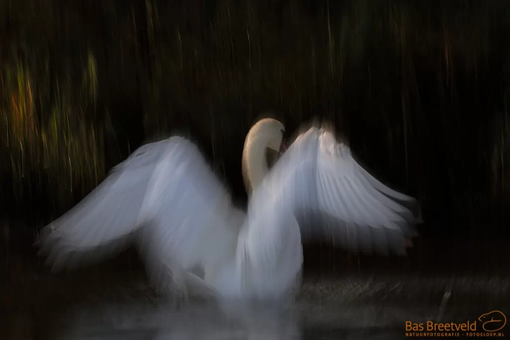 “It is only with the heart that one can see rightly; what is essential is invisible to the eye “ — Antoine de Saint-Exupery (Photo: Bas Breetveld)