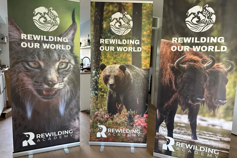 Rewilding our World Conference: Reflecting on Impact, Integrity, and the Path Forward