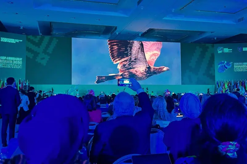 Film showing at the Eighth GEF Assembly